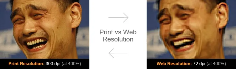 Vector vs. Raster - Print vs Web resolution