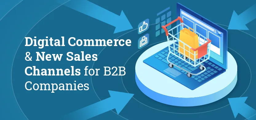 Digital Commerce & New Sales Channels for B2B Companies