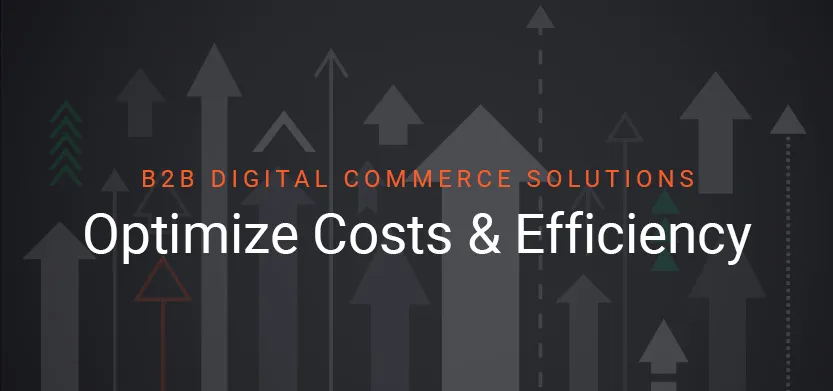 B2B digital commerce solutions optimize costs & efficiency | Acro Media