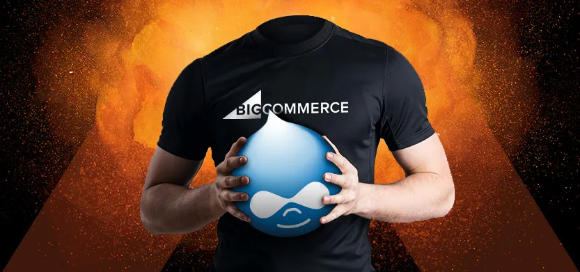 Using Drupal for Headless Ecommerce Customer Experiences | Acro Commerce