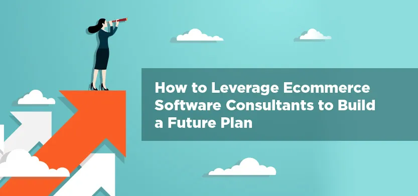 How to leverage ecommerce software consultants to build a future plan | Acro Media