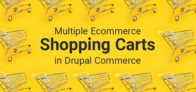 Multiple ecommerce shopping carts in Drupal Commerce | Acro Media
